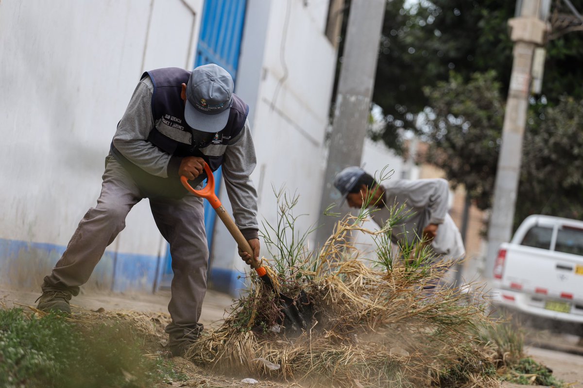 Muni_Bellavista's tweet photo. #ProgresandoContigo | Bajo el liderazgo del alcalde @AlexCallanC, nuestros jardineros empezaron con la recuperación de 1,000m2 aprox. de espacio en el cruce de los jirones Elías Aguirre y Francisco Pizarro. Próximamente toda esta área lucirá un nuevo rostro tras 8 años de olvido. https://t.co/5sYOXVKppW