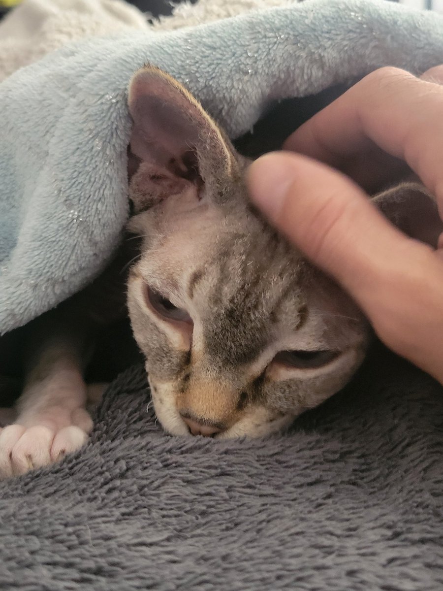 730pm Mst Baby. Should be a good stream start time. I'm pretty excited to be able not only have time to stream but be awake enough to fully enjoy it again. Its amazing how much life can take from your free time. Hopefully your doing better than ok today!