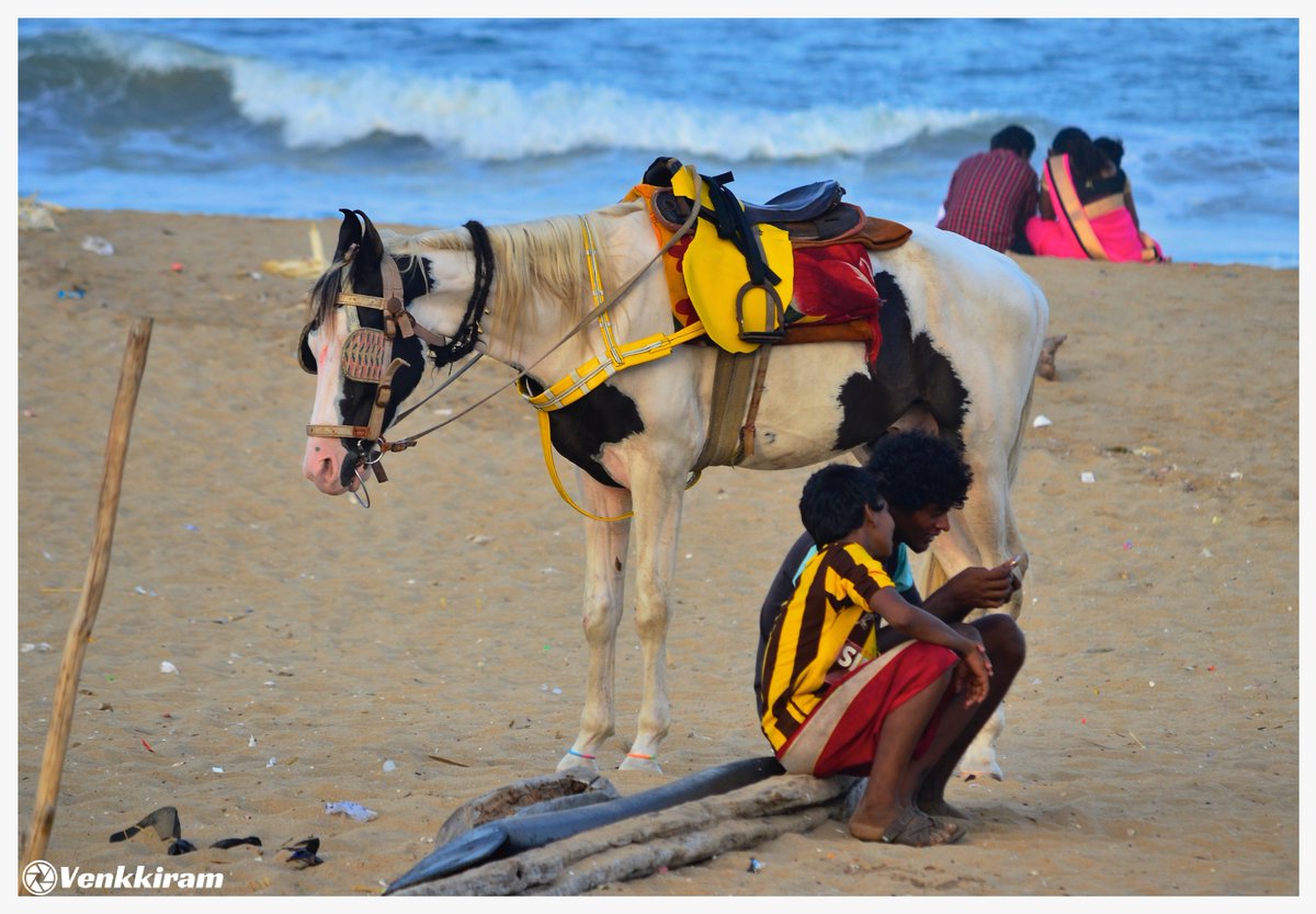 #WorldPhotographyDay | #Photography | #WorldPhotographyDay2023 | #venkkiclicks | #candidphotography #seashore #BayOfBengal