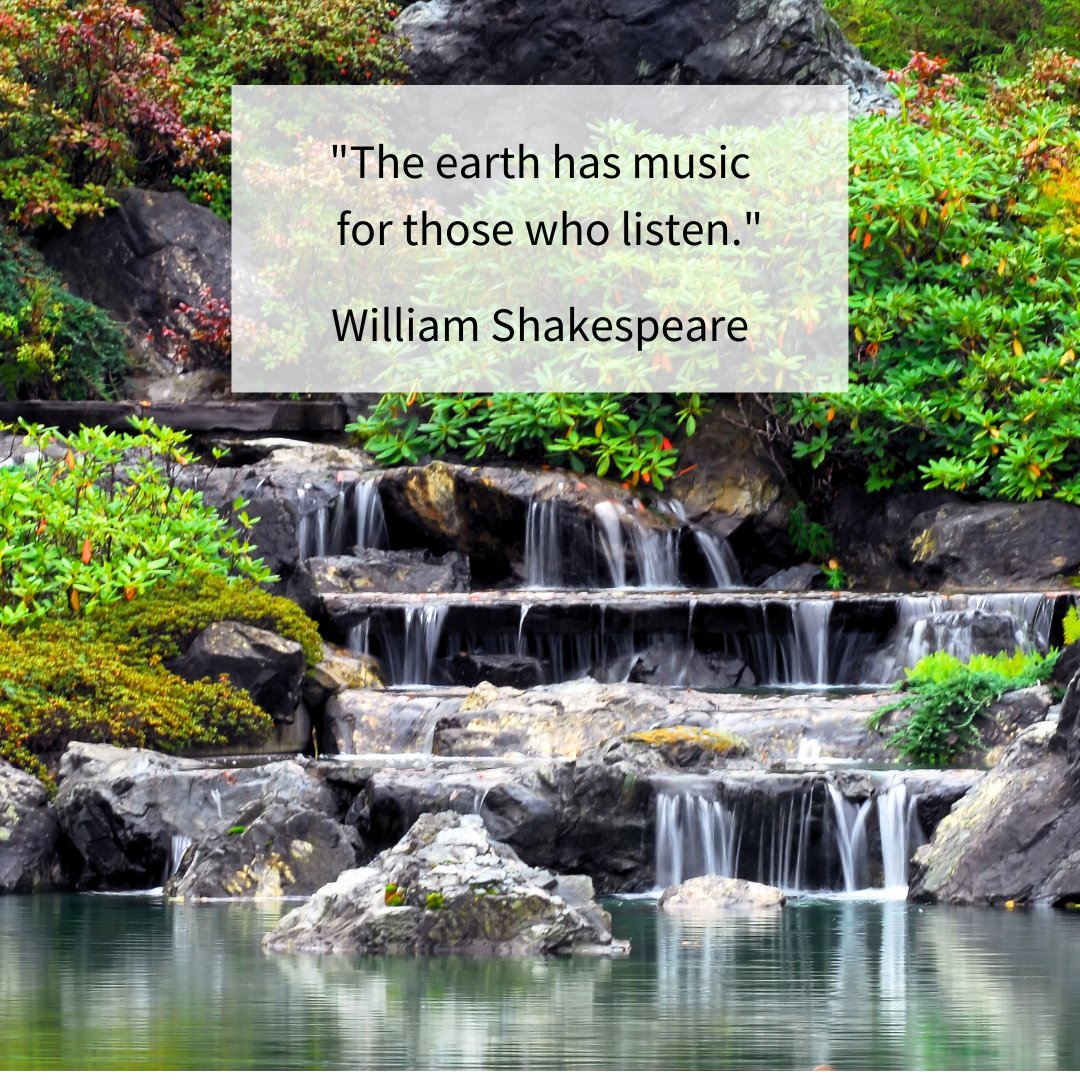 BioBoostNest's tweet image. The sound of water is music to us.

#nature #water