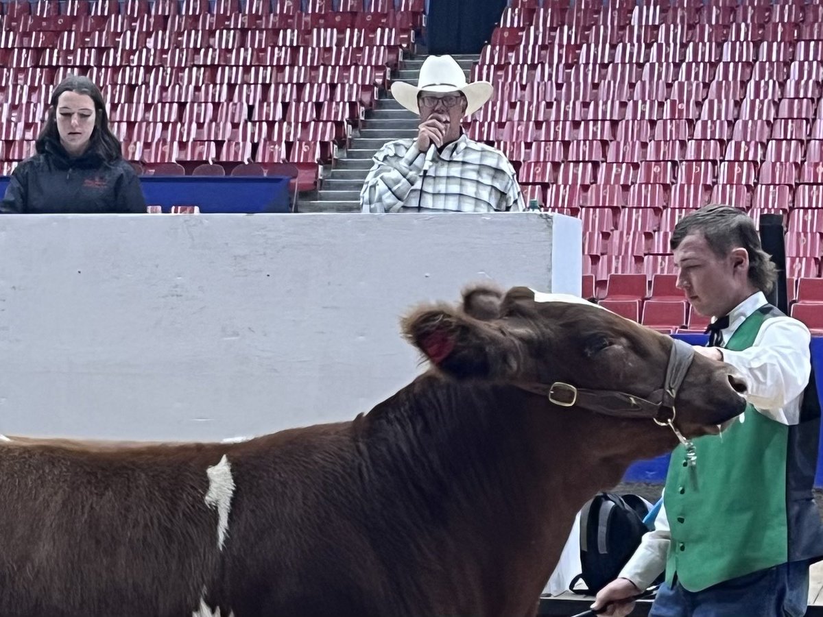 Auctioneering at the PNE for 4-H BC is a yearly highlight for me. Great to see the care and attention these members  put into their animals. I hope many of them will become future ranchers here in BC 🙏  #bcpoli #agbc
