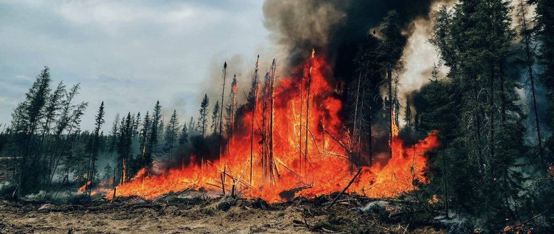 Climate Change is a major driver of Canada’s extreme fire season. New <a href="/WWAttribution/">World Weather Attribution</a> study shows the Pyrocene is well &amp; truly here, thanks to our continued burning of fossil fuels worldweatherattribution.org/climate-change…