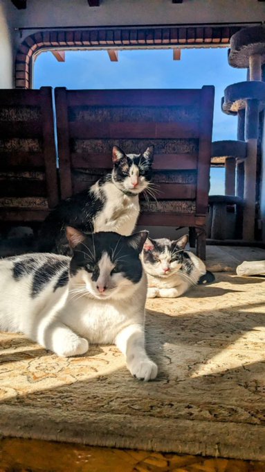 They look like they're in a band 😂 What would be the genre and name of their album? https://t.co/h3T