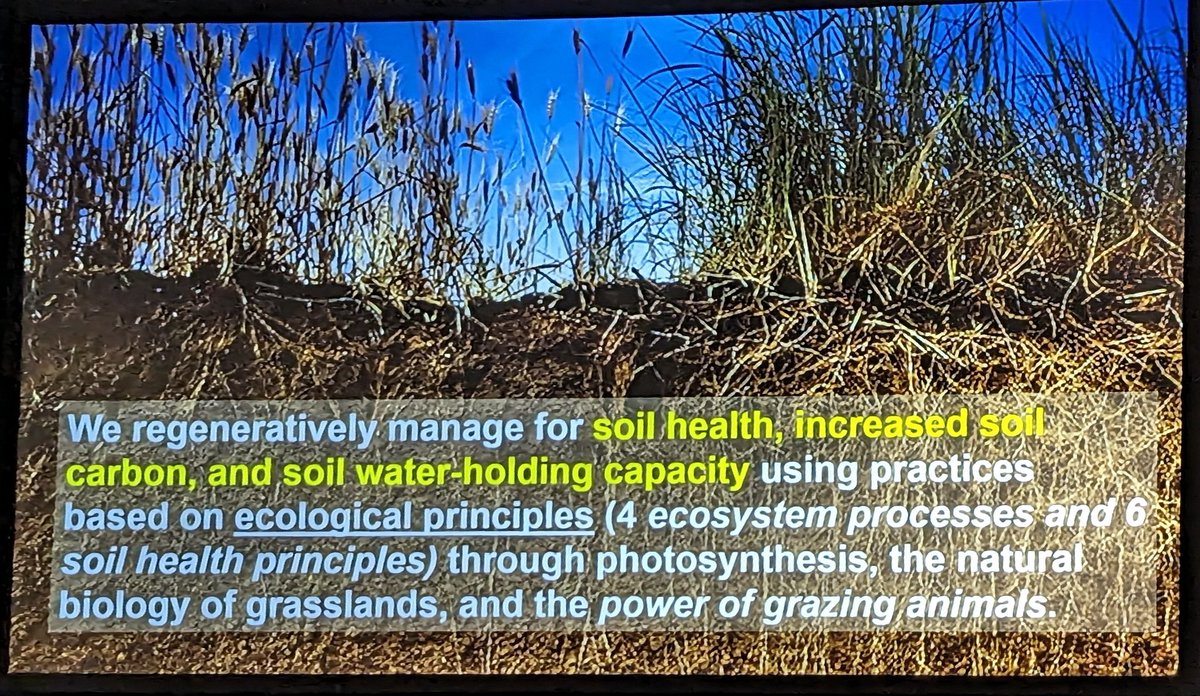 Certified Angus Beef Cattleman Connection tweet media