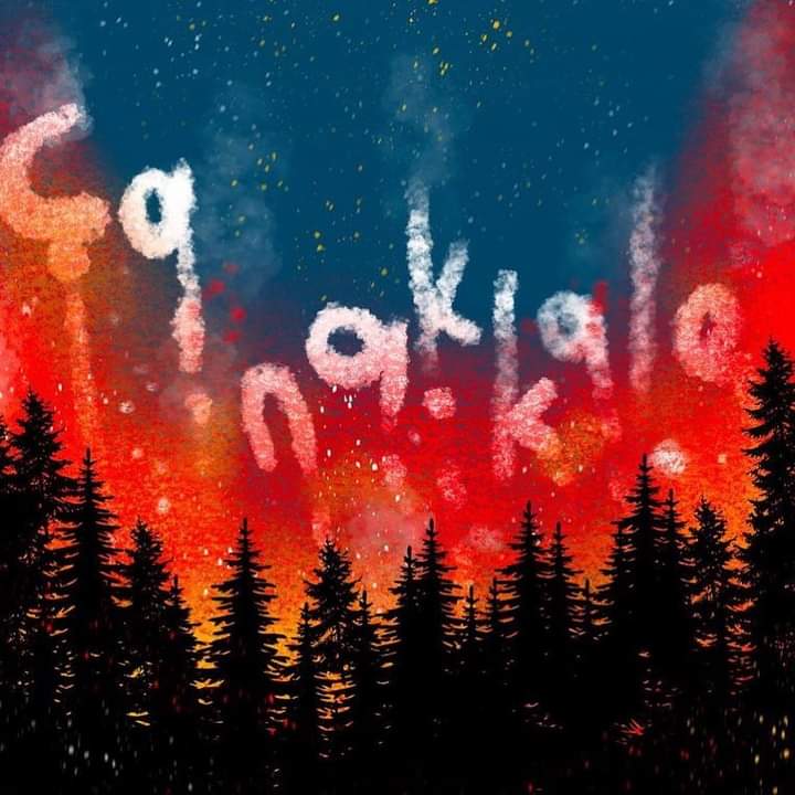 #çanakkale #yangın