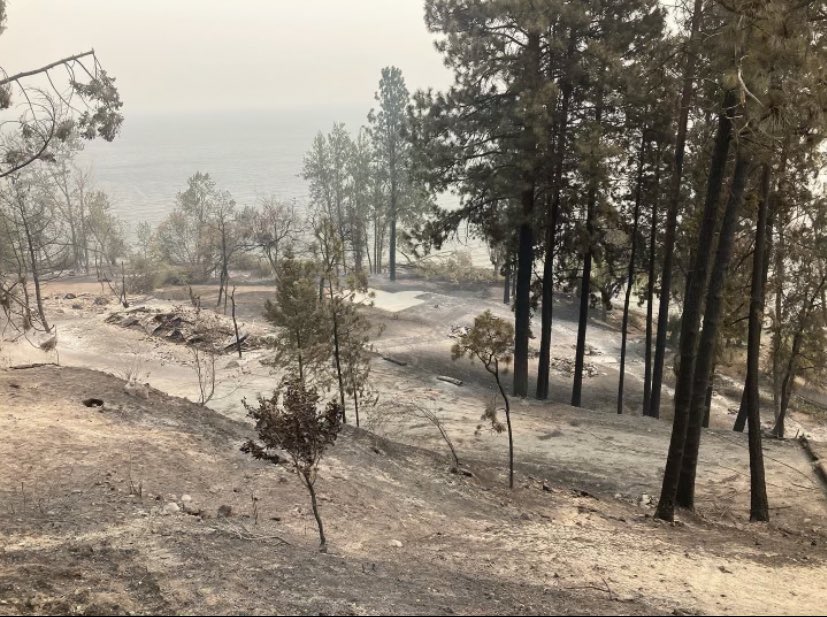 LocksTwigs's tweet image. Close family friends sent me this last night &amp;amp; it’s truly jaw dropping… 

For those in the Kelowna region &amp;amp; nearby, please stay safe 🙏🏼🙏🏼