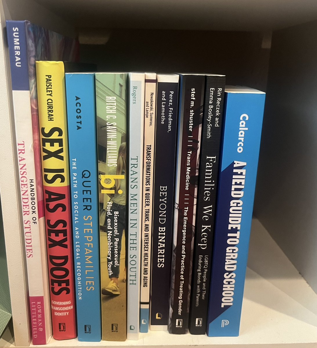 Also very excited about all of the brilliant books I was able to pick up on the last day of #ASA2023!! The start of my little collection❤️🏳️‍🌈