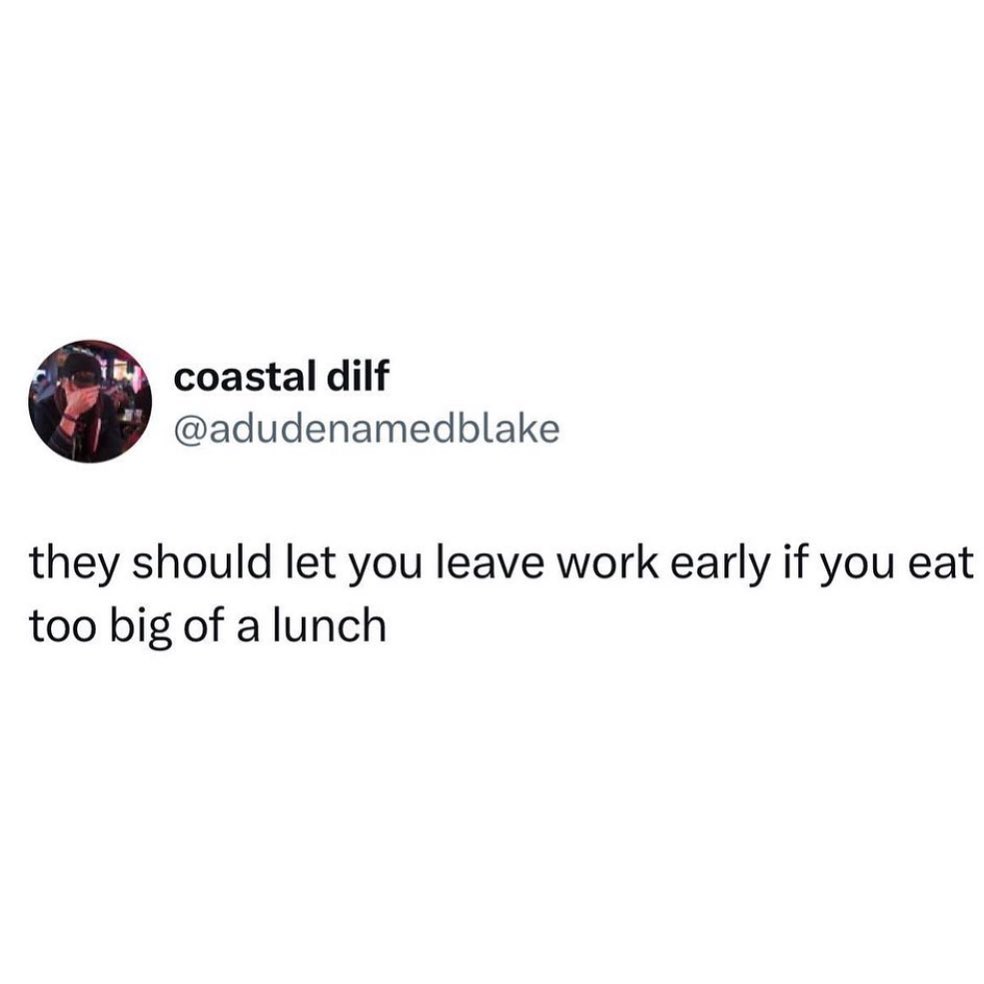 Post lunch nap time! 😴