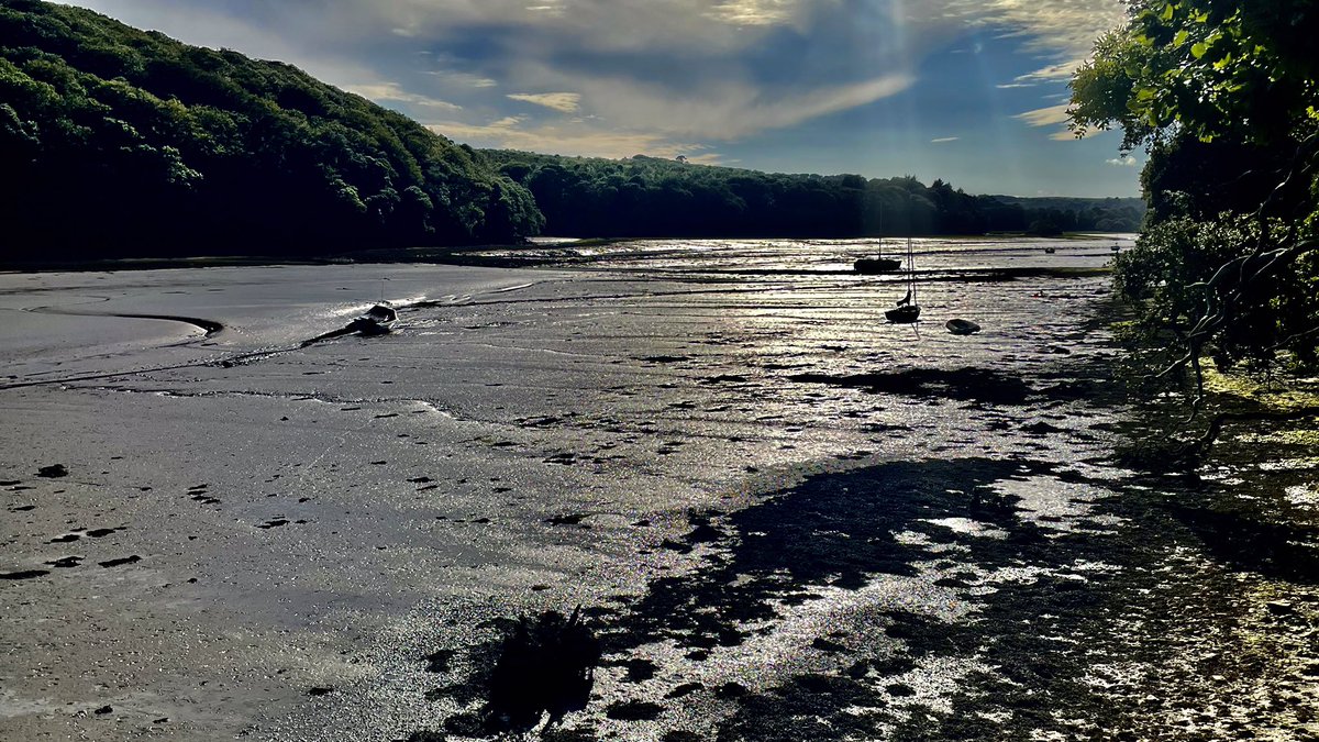 Paul Bryer (@paulbcornwall) on Twitter photo ‘Now the day is over, night is drawing nigh;
shadows of the evening steal across the sky.
Jesus, give the weary calm and sweet repose;
with your tend'rest blessing may my eyelids close.’
#NightPrayer #Devoran #Cornwall <a href="/DioTruro/">Diocese of Truro</a> <a href="/churchofengland/">The Church of England</a> ‘Now the day is over, night is drawing nigh;
shadows of the evening steal across the sky.
Jesus, give the weary calm and sweet repose;
with your tend'rest blessing may my eyelids close.’
#NightPrayer #Devoran #Cornwall <a href="/DioTruro/">Diocese of Truro</a> <a href="/churchofengland/">The Church of England</a>