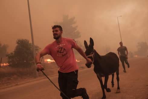 Ratnesh_speaks's tweet photo. 🙏 Because every life has value!! 🥺💔💔

#φωτια #Αλεξανδρούπολη #φωτια #πυρκαγια #κομοτηνη #μακρη #Αλεξανδρούπολη  #GreeceFires #Greecewildfires #Greece https://t.co/l3LXt8v64J