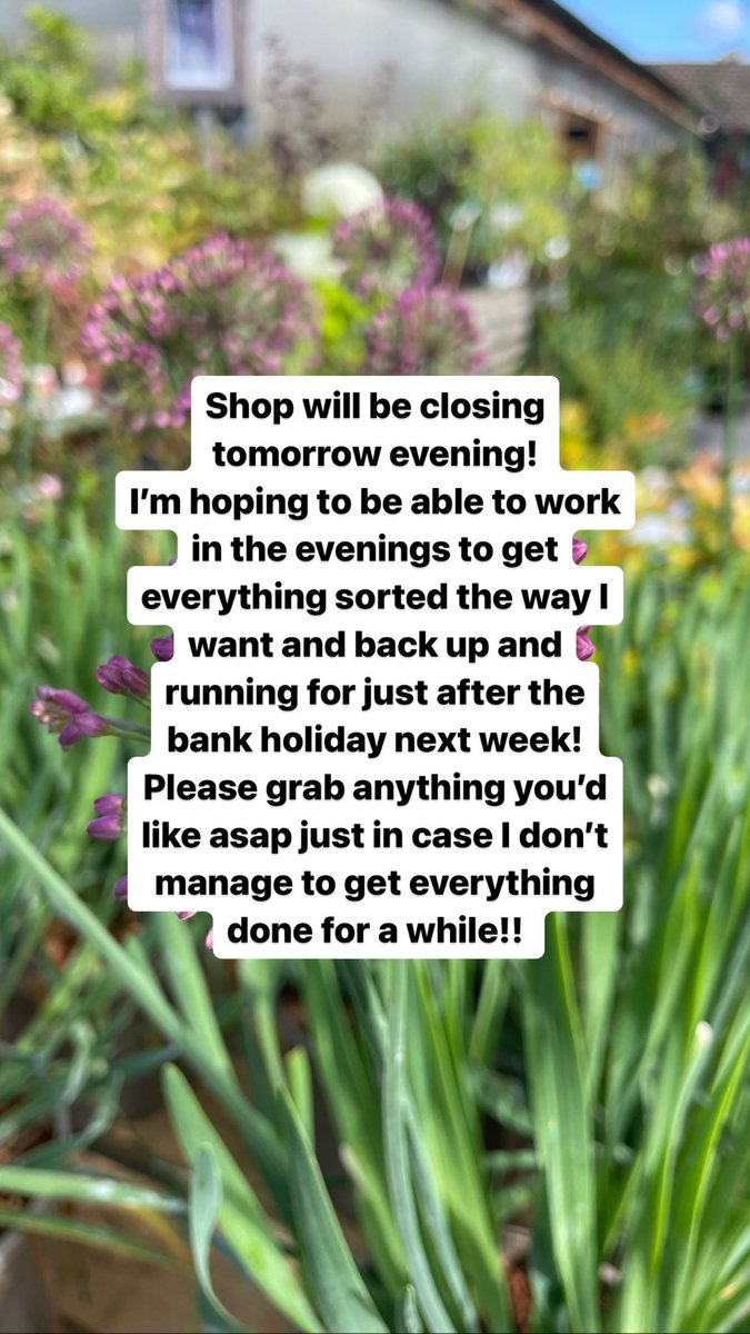 Hello lovelies! 
Long time no speak… life has been pretty crazy lately! 
My shops will be closing for a short while tomorrow evening! 
I’ll have more posts up asap as to how the shop will be run in the future but I want to make everything perfect for you guys before I do!!