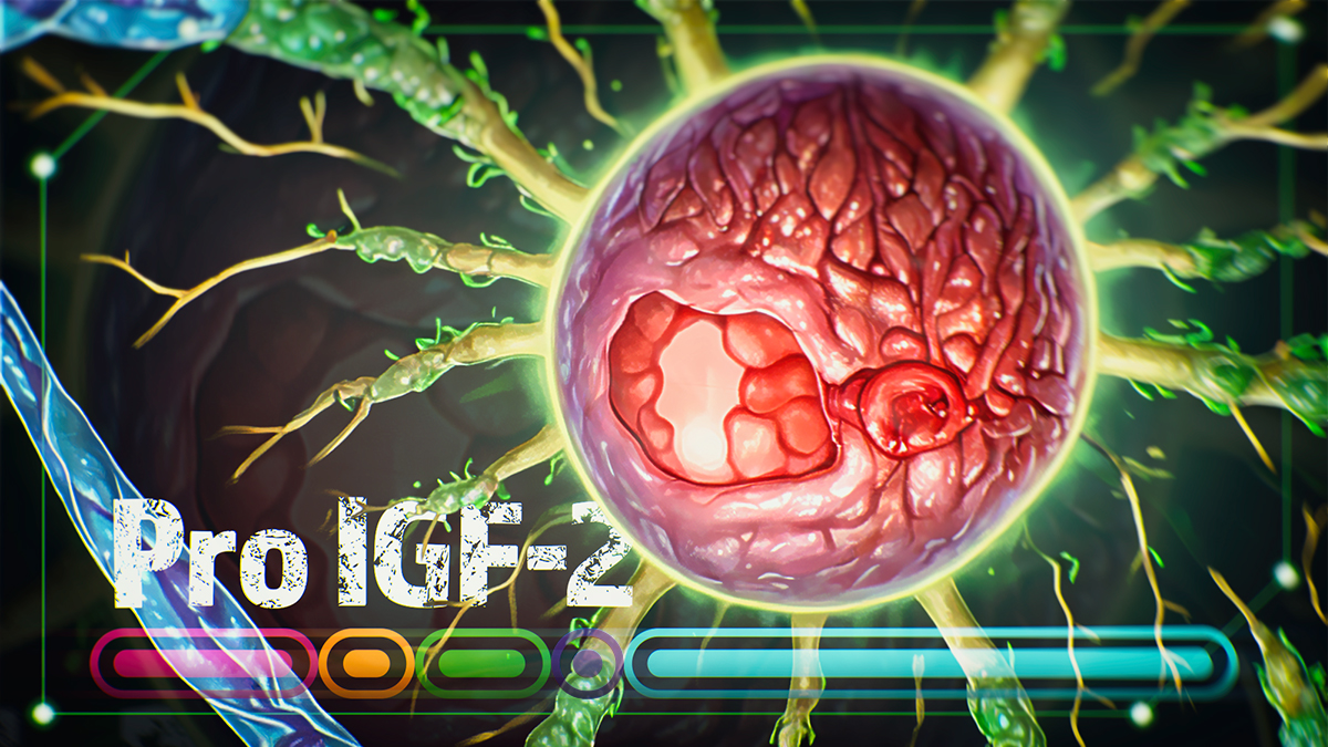 IOCBPrague's tweet photo. #research #IGF2 #peptidehormones
Non-glycosylated IGF2 prohormones are more mitogenic than native IGF2 (@JiracekJiri, @leninazak) - @CommsBio: https://t.co/tBW7QG6ZUs

@IOCBPrague @science_charles @FGU_AVCR @UniOfYork https://t.co/5ZFeNVFOD5