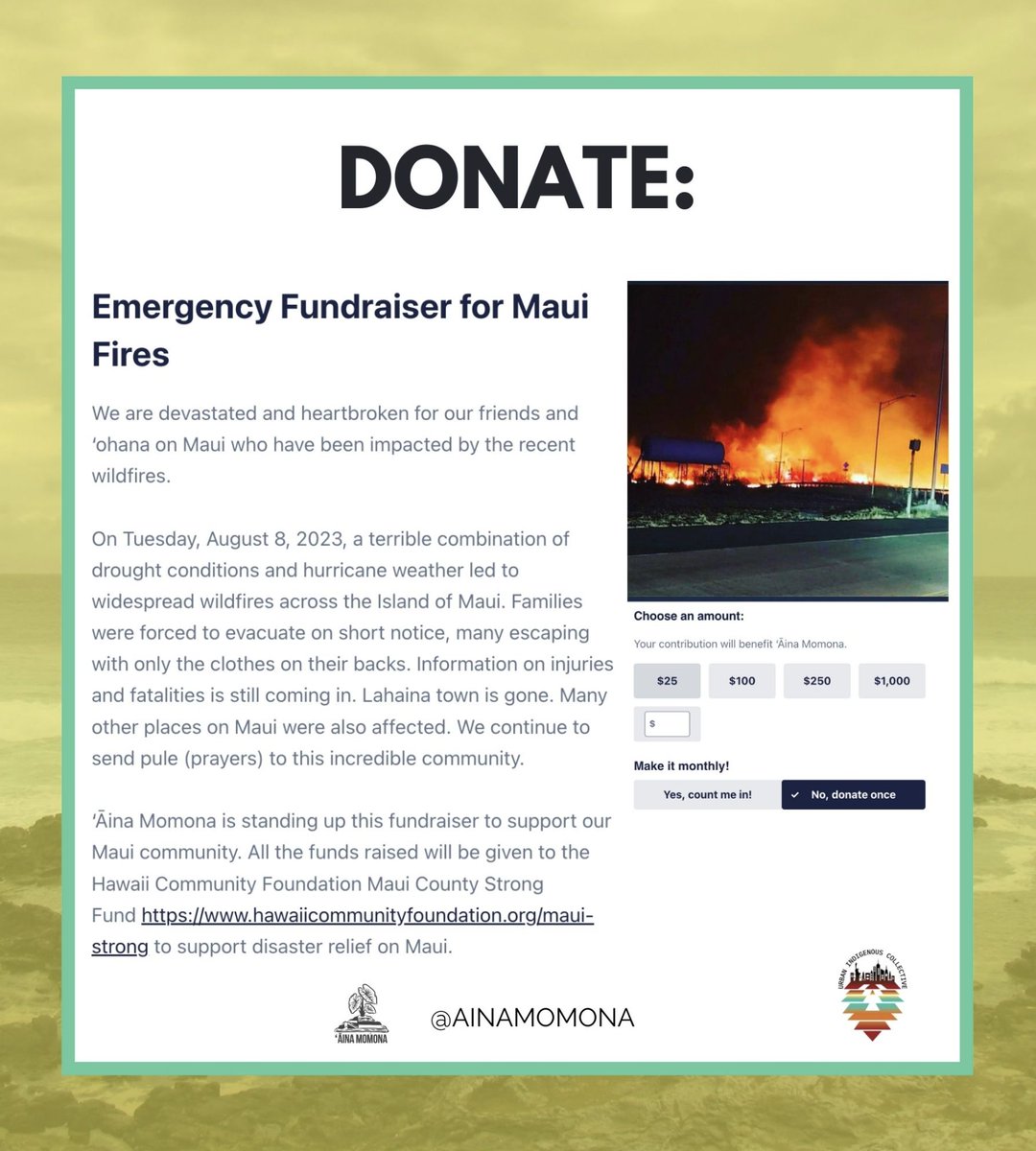 ecorise's tweet photo. Hawaii needs our support to recovers from the devastating wildfires. You can help by providing financial assistance to families, communities, and organizations. Check out this mutual aid guide from @UICollective to donate directly👉 https://t.co/GSgSrMQBXJ. #WeRise #SupportHawaii https://t.co/AGJvtKjUwM