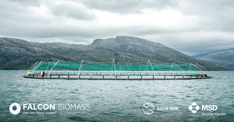 MSDAnimalHealth's tweet photo. We look forward to seeing you at AquaNor in Trondheim, Norway. Be sure to visit us at booth F-515 to learn more about our new FALCON® Biomass and our full suite of industry leading #SolutionsForAquaculture.