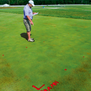 PBI-Gordon Turf Experts tweet media