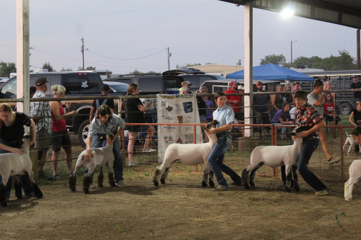 vines_wildcats's tweet photo. Our Plano FFA lamb and goat team went to their first show this weekend! They had Brynne Wauson with a 1st place, Sara Drueckhammer, Grace Jones, and Hannah Drueckhammer with 2nds! Great job everyone and look forward to seeing your animals grow! #planoffa https://t.co/7VTHkcDyaS