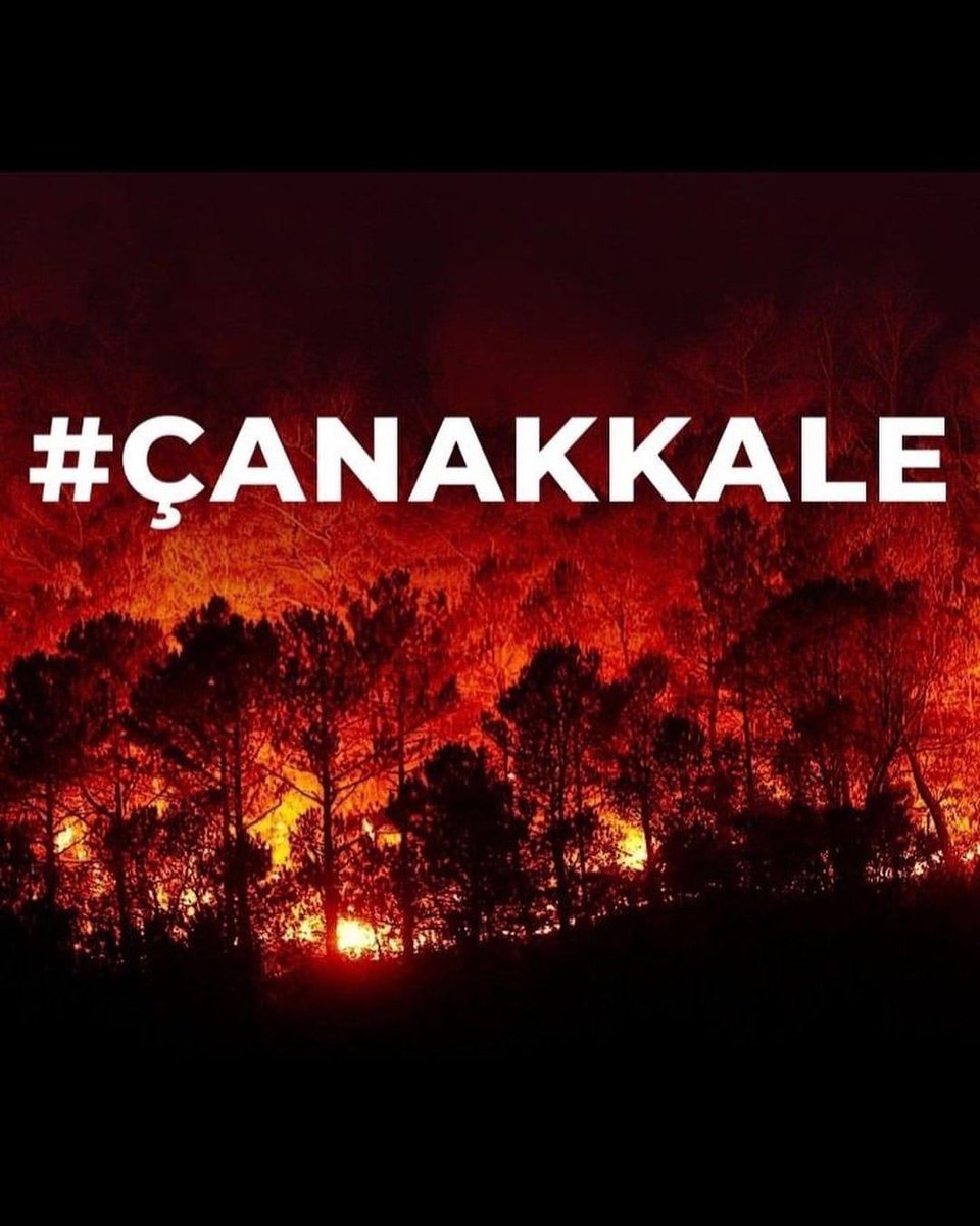 "Gözleri doymayanlar gözümüzün içine baka baka ciğerlerimizi işte böyle yakıyor.”

Ece Üner

İyi değil geceler 😔

#Çanakkale