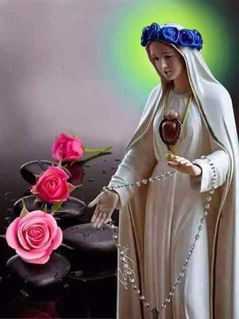 AJesusporMaria5's tweet photo. Bendita sea tu pureza y eternamente lo sea, pues todo un Dios se recrea en tan graciosa belleza. A ti, celestial princesa, Virgen sagrada María, yo te ofrezco en este día alma, vida y corazón, mírame con compasión, no me dejes, Madre mía Amén https://t.co/THncmS22XU
