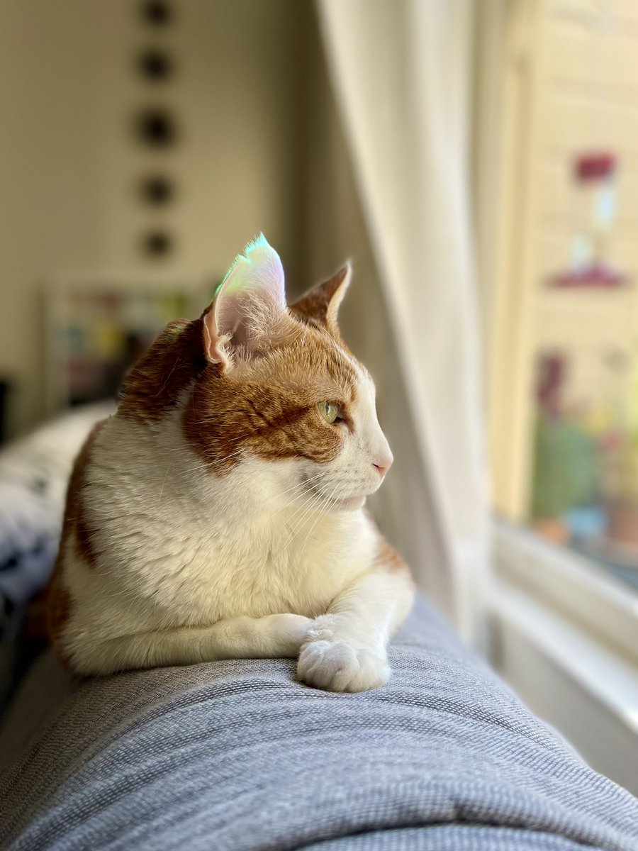 SqueakyMissD's tweet photo. Well.
We didn’t get the good news we were hoping for. The mass is bigger and scans are “concerning”
We’ll know more tomorrow💔
Fuck cancer straight to hell
#Gingerlicious
#CancerWarrior
#MyGirl🧡 https://t.co/IBTJKNVTob