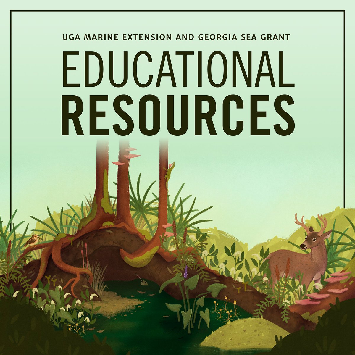 GACoast_UGA's tweet photo. Teachers, students and parents, gear up for #BackToSchool by checking out our free educational resources created by Marine Extension and Georgia Sea Grant educators. 🔎 #SeaGrantSTEM
https://t.co/4QRl9mLFb8 https://t.co/eyy911CBK5
