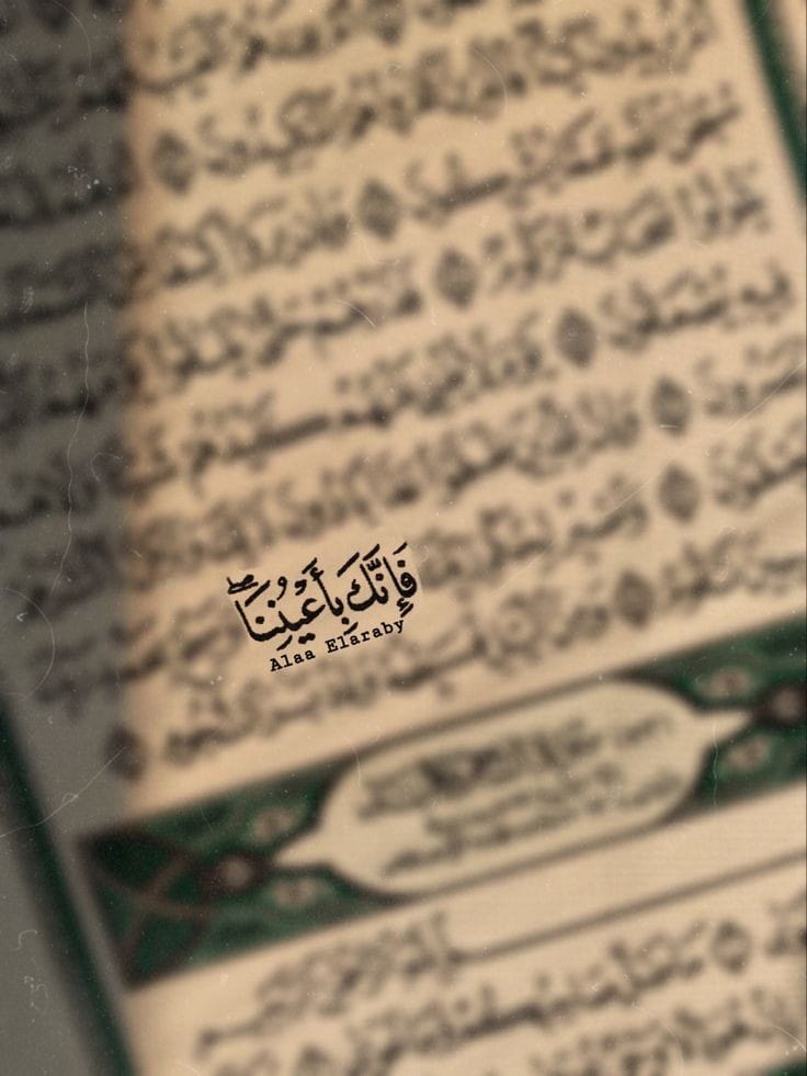 السند الوحيد الذي لايخذلك أبداً هو الله ⁦❤️⁩