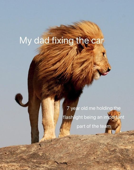 WholesomeMeme's tweet photo. https://t.co/YxuDfndgZA
