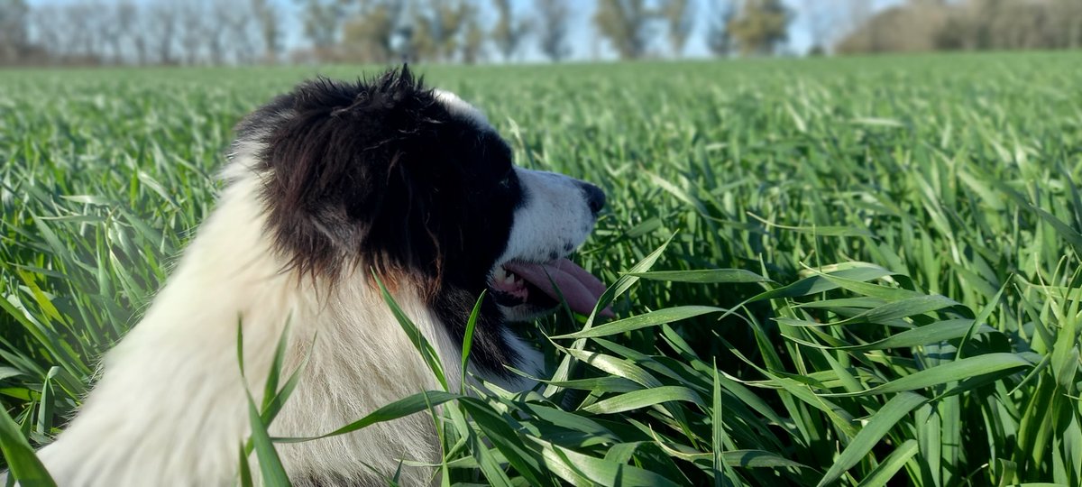 La fina viene bien y él lo sabe