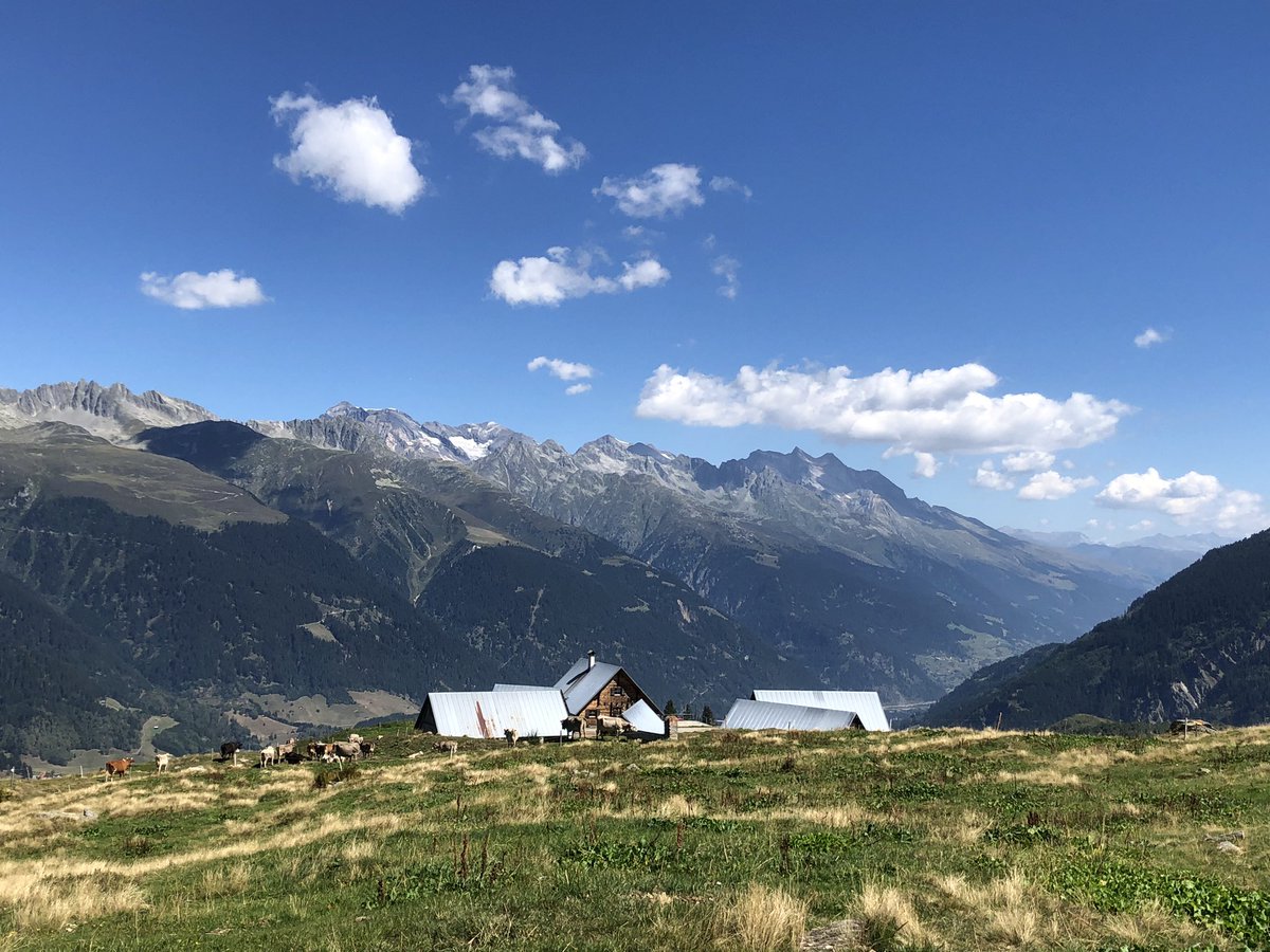 thomaskollegger's tweet photo. Kühl war es auch auf der Alp #Pazzola heute nicht, aber doch erträglich.
Buna notg! https://t.co/Fe4Hoo3VBm