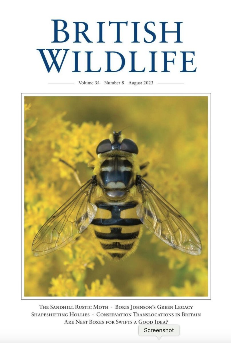 Very pleased to see our article 'Conservation translocations in Britain’ now published in the Aug 2023 edition of @britwildlife. Coauthored with @AlineRbge @DelphinePouget @SarahEDalrymple Jim Foster and David Bavin @TheVelvetClaw. Available at britishwildlife.com/article/articl…