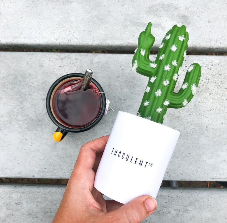 🤫 What’s the TEA on the FUCCULENT???

🌵FUCCULENT = Fake + Succulent …

🖐️ But is it any old fake succulent?? NO!

😂 The FUCCULENT sends a message

#fuccit #fucculent #fakeplants #artificialplants #homedecor #homedecorating #giftideas #giftsforher #giftsforhim #giftsforhome