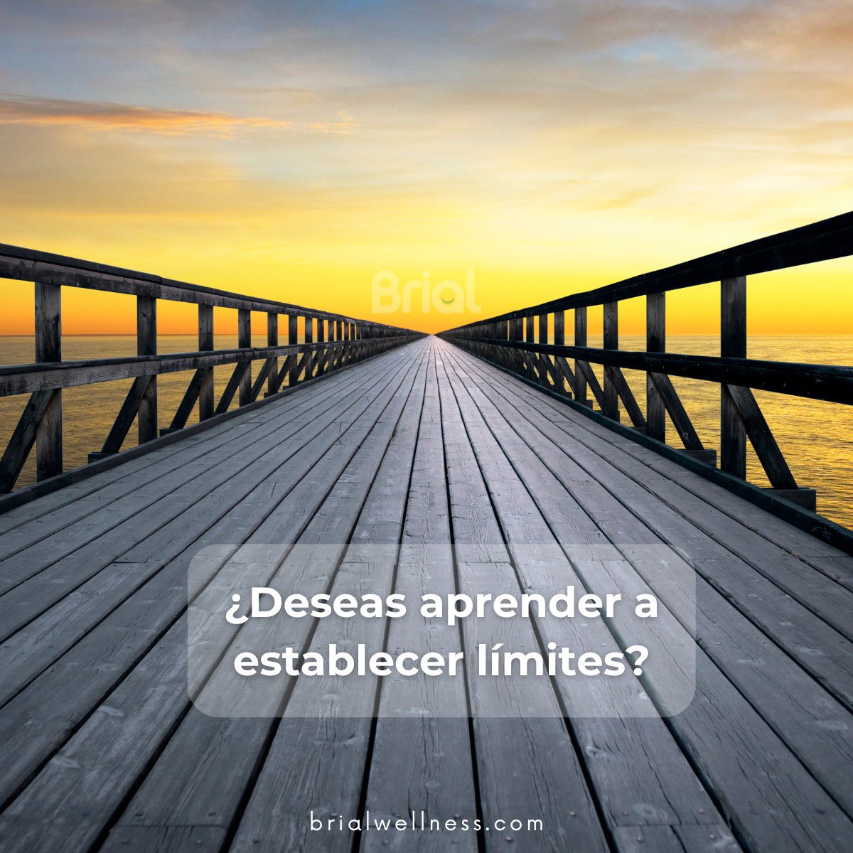 EloySFdz's tweet photo. Por medio de nuestra App conocerás al psicoterapeuta que te proporcionará las herramientas para aprender a decir “no” cuando sea necesario, y así proteger tu bienestar y emocional.

Descárgala y descubre a todos nuestros especialistas en diferentes áreas de la psicología. https://t.co/s6fQruyycD