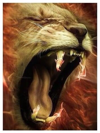 aysunkuuur's tweet photo. #BugünGünlerdenGALATASARAY 💛❤️
#KONSANTRASYON 💪🏾💪🏾💪🏾💪🏾💪🏾💪🏾🔥🔥🔥🔥🔥🔥🔥🔥🔥🔥🔥🔥🔥#
#HedefCL
#SaldırGALATASARAY 🦁🦁🦁🦁🦁 https://t.co/WQ2JhVTEao