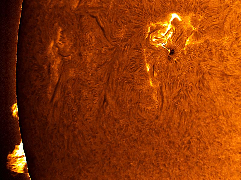 StarryNiteTales's tweet photo. Sunspot 875 Flares
Credit &amp; Copyright: Greg Piepol (https://t.co/DgGBqCpXE6) https://t.co/xX8RDORDfQ