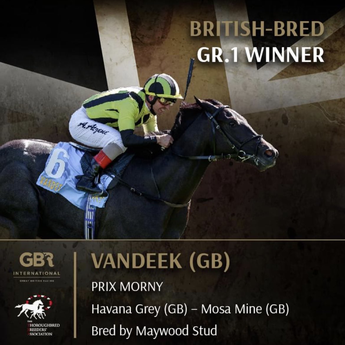 🏴󠁧󠁢󠁷󠁬󠁳󠁿💪#pencaderbred💪🏴󠁧󠁢󠁷󠁬󠁳󠁿