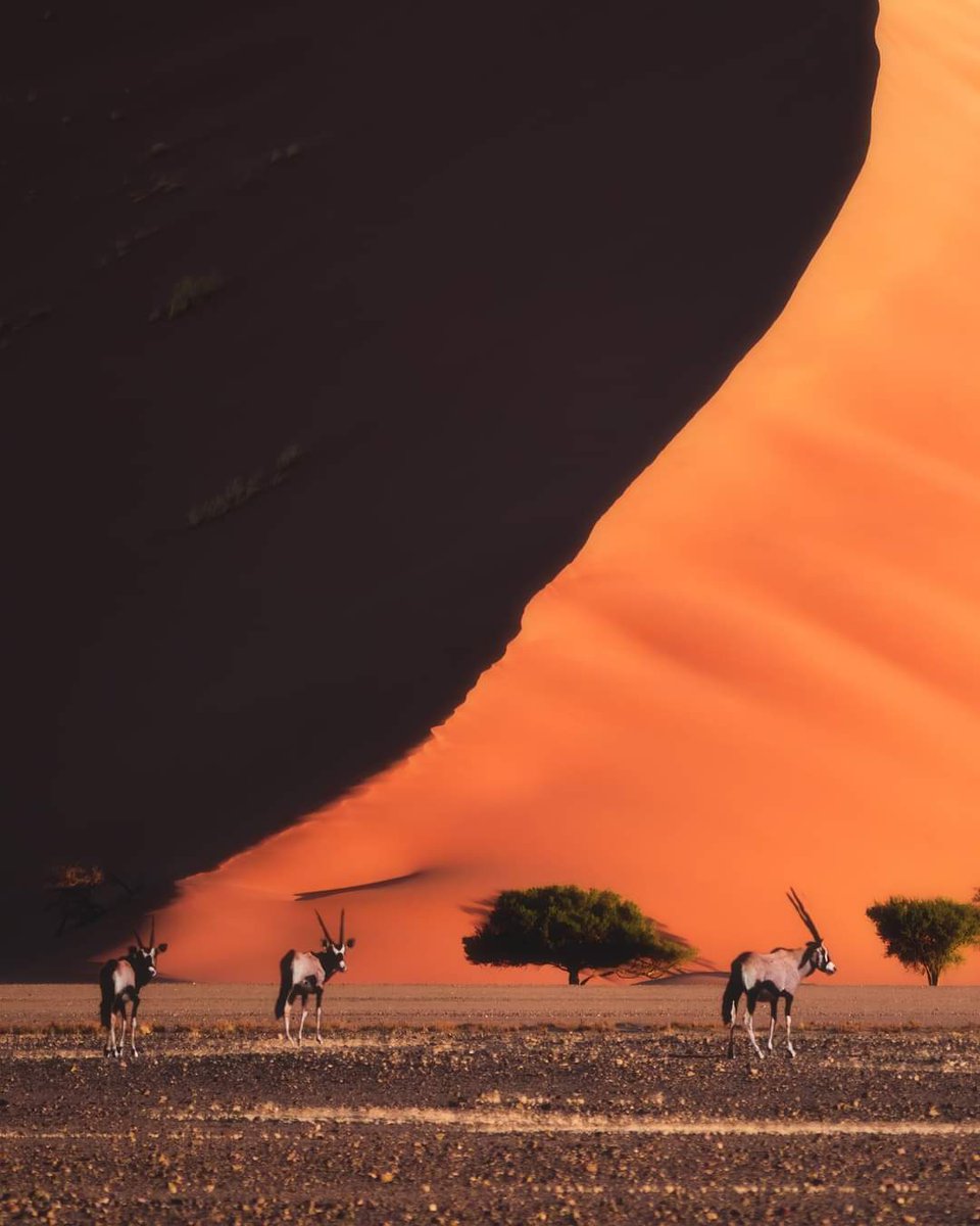 Babanasidi01's tweet photo. #Namibia2023 https://t.co/AMpejdfP67
