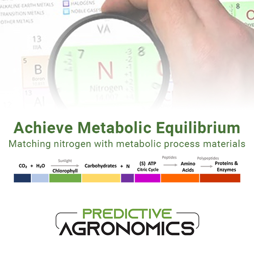 PredictN7's tweet photo. 7-Day or 14-Day guidelines for supplemental Nitrogen balanced with corresponding metabolic process materials. 

Learn more at https://t.co/FllHas4J3c https://t.co/hfpHR6xQVj