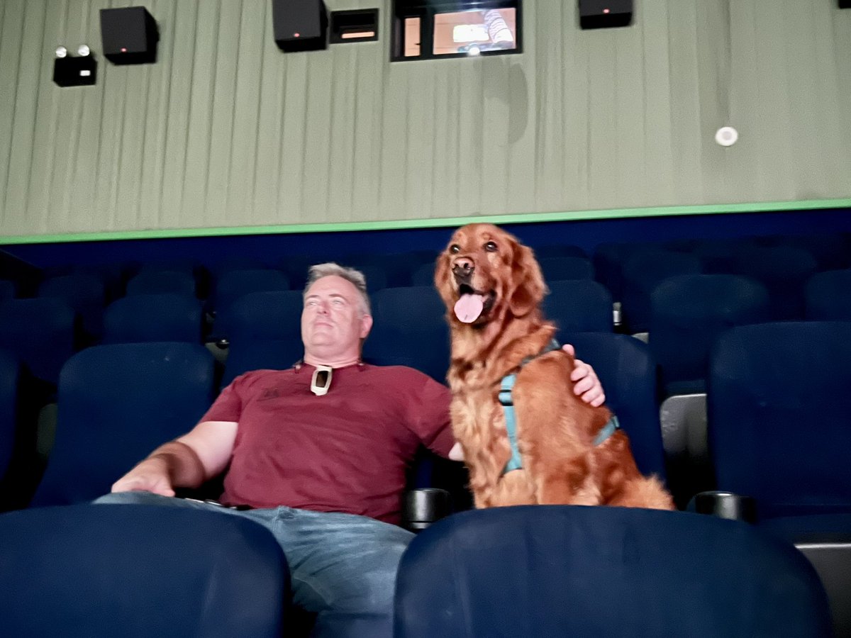 EnglandJason's tweet photo. @Straysmovie My golden retriever Cooper has loved watching tv his whole life. Today, thanks to the generosity of a friend, he was allowed a private screening of "Strays."

He absolutely loved it and said it was way better than that boring "Oppenheimer." https://t.co/31zI7kaexC