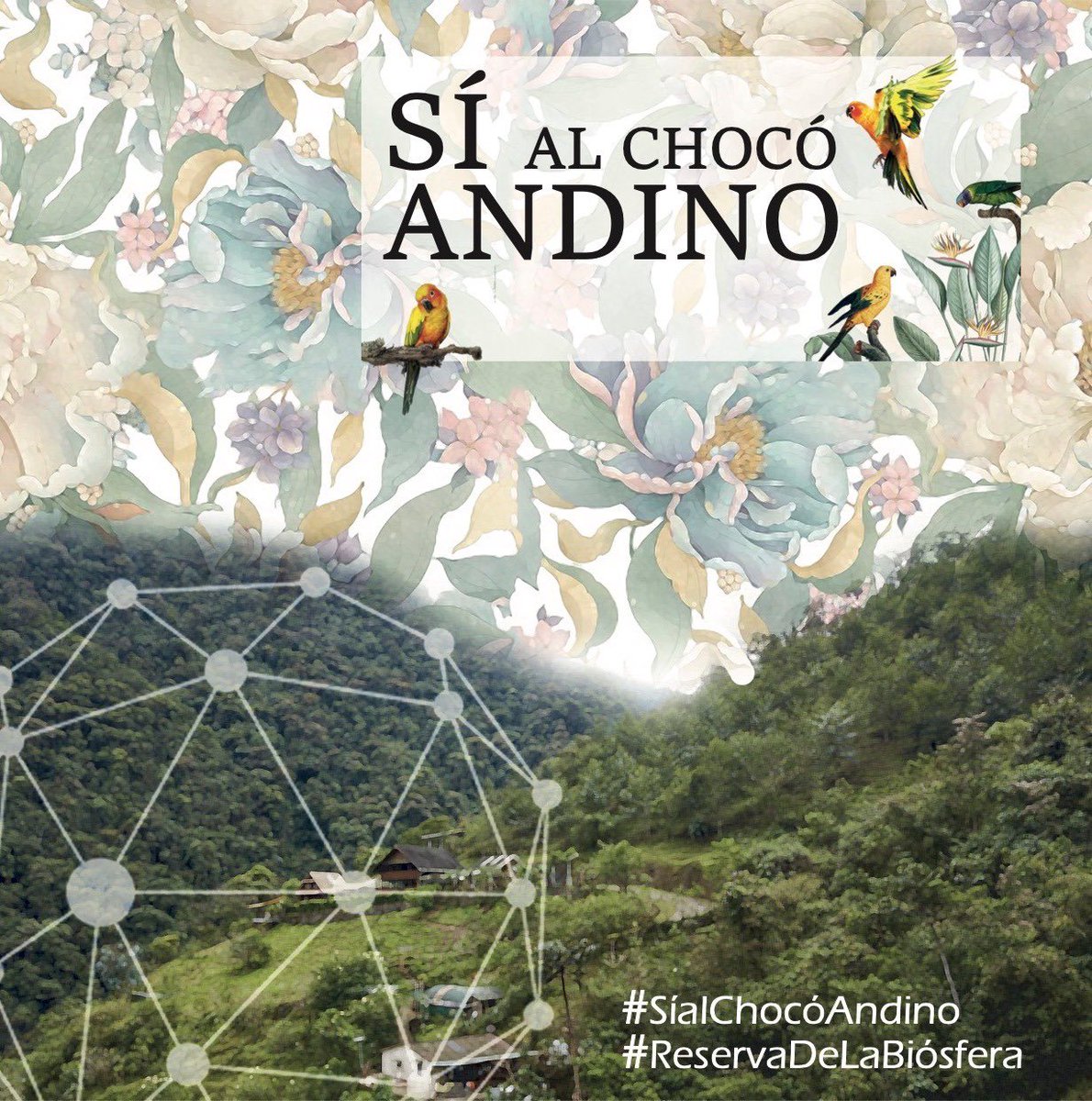 Los investigadores del OPTE FAU UCE nos unimos a las felicitaciones a la Mancomunidad Chocó Andino. Seguiremos con nuestros aportes desde la academia manteniendo el compromiso de acercarnos a las necesidades y retos que implican esta decisión. #SíalChocóAndino #QuitoSinMinería