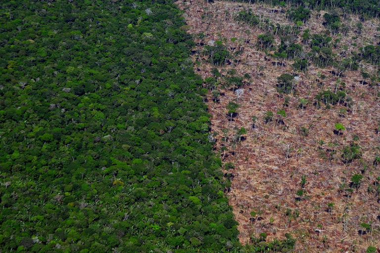 Postdoc job alert - please share! We are seeking a postdoc to work on a NASA project led by @pmbrando on modeling forest edge effects on carbon cycle and fires in Amazon using FATES. Apply here: vanderbilt.edu/postdoc/positi… #TropicalEcology #Postdoc #postdocjobs #wildfires