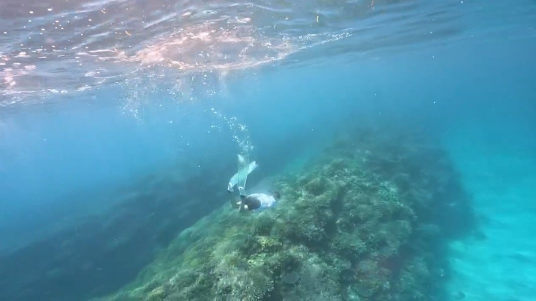 去年入院してた分の夏を取り戻してる✨