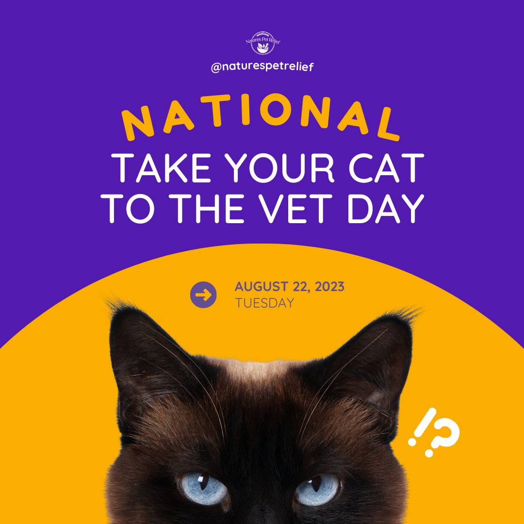 NaturePetRelief's tweet image. It's National Take Your Cat to the Vet Day! 🐱 Show your feline friend some love by prioritizing their health and well-being. Regular check-ups keep those purrs going strong! 😺

#NationalCatVetDay #CatHealthMatters #VetVisitDay #FelineWellness #PurrfectCare #HealthyCats