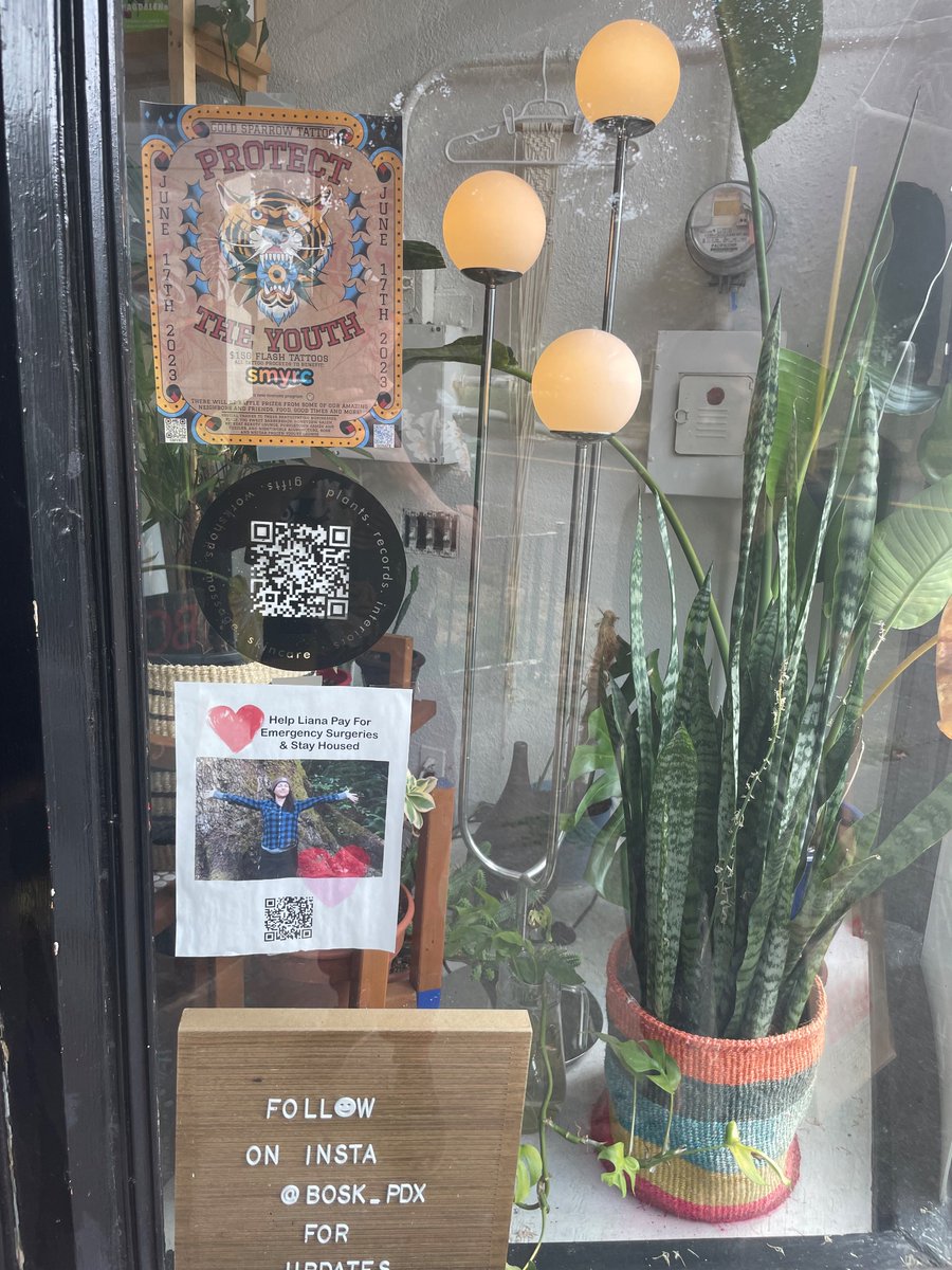 Billy_PDX's tweet photo. Help Liana With Major Surgeries 
 https://t.co/IC8uK9yZj9 

Plants. Records. Interiors. And more https://t.co/oKLMH3Xtum