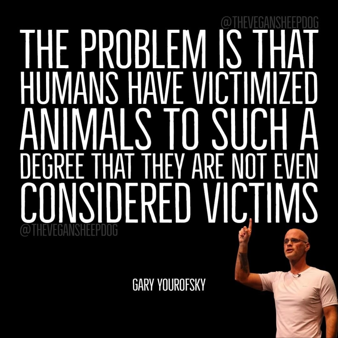 This is such a powerful perspective from Gary, and he's right. We've turned animals into sandwiches and shoes without even thinking that it was an animal... We can do better, we all can do better. 
#animals #victims #food #cows #pigs #chickens #vegan #veganquotes #perspective