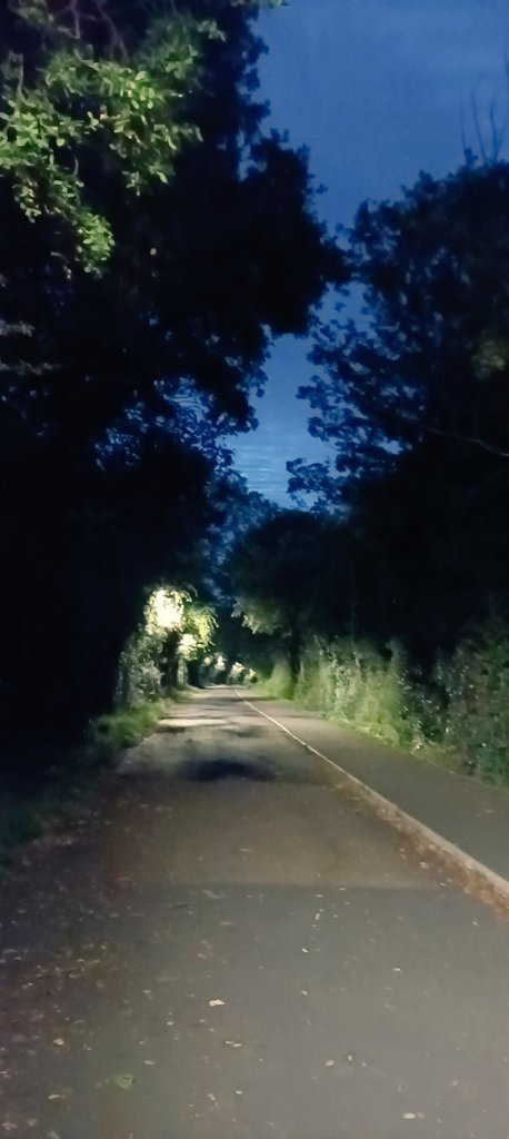 JustineMusiime's tweet photo. This is spooky
But it is well-lit
& you are with your friend.
But can he fight a monster?
Maybe I should go back.
But going back is almost the same as continuing.
Mind games during my #WeActiveChallengeWalk! Not funny!๐ A different route it will be next time. ๐คฃ #ActiveAHPs https://t.co/gt2VPgvNHJ