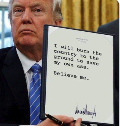 coachlou35's tweet image. OMFG! Trump finally tells the truth. Apocalypse is near.#TrumpMustGo