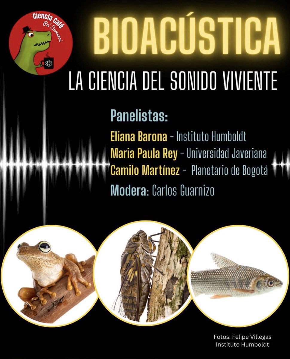 CienciaSumerce's tweet photo. Los sonidos vivientes, los sonidos de los seres vivos. Los esperamos en nuestro próximo café ciencia en vivo! miércoles 30 de agosto, 5 P.M., en casa Magola Buendia, en la Candelaria car 2a #17-60. Entrada gratuita https://t.co/TMqsEgpnzQ