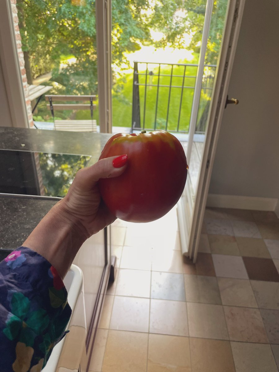 PoledanceA's tweet image. Is het een appel? Is het een tomaat?
#eigenkweek