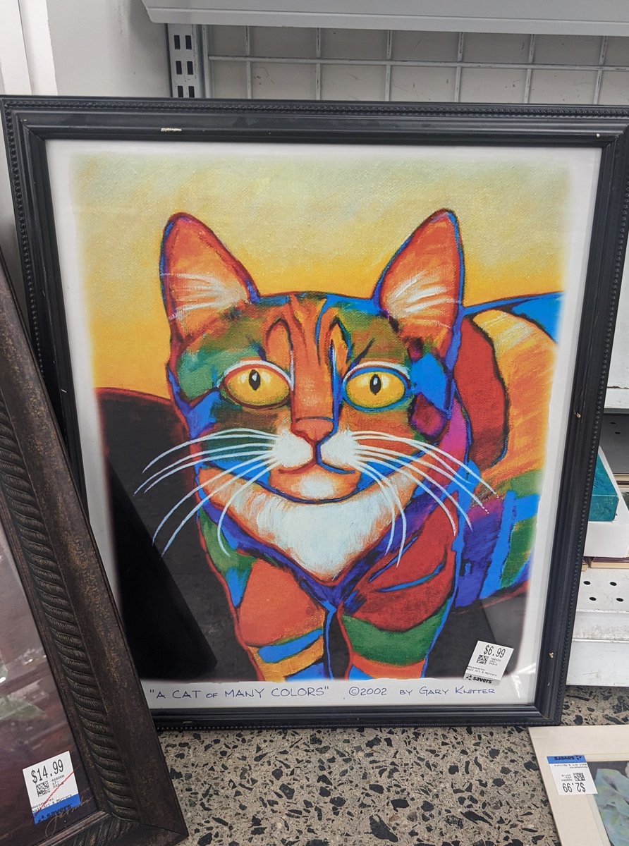 catwheezie🐾 tweet media