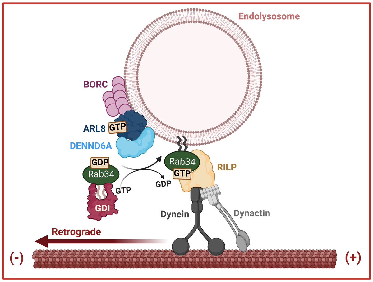 Rahul Kumar, PhD tweet media
