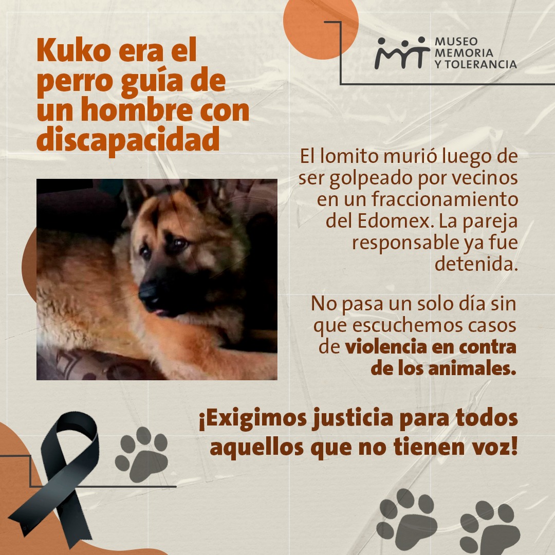 Hacemos un llamado para concientizar sobre la importancia de ser más empáticos con todos los seres sintientes. #Kuko #Animales #ViolenciaAnimal #Perros #Perritos